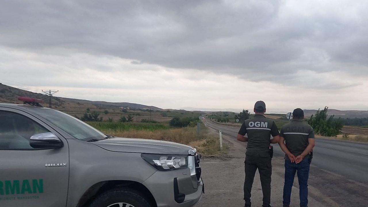 Orman ekiplerinden yollarda denetim