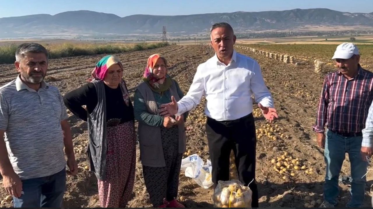 Emeği para etmeyen üretici patatesleri bedava dağıttı
