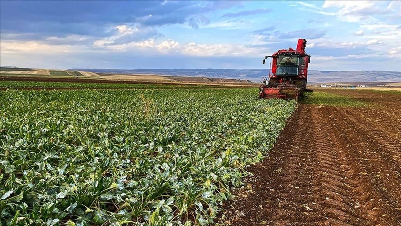 ÇKS başvuruları başlıyor! İşte başvuru tarihi