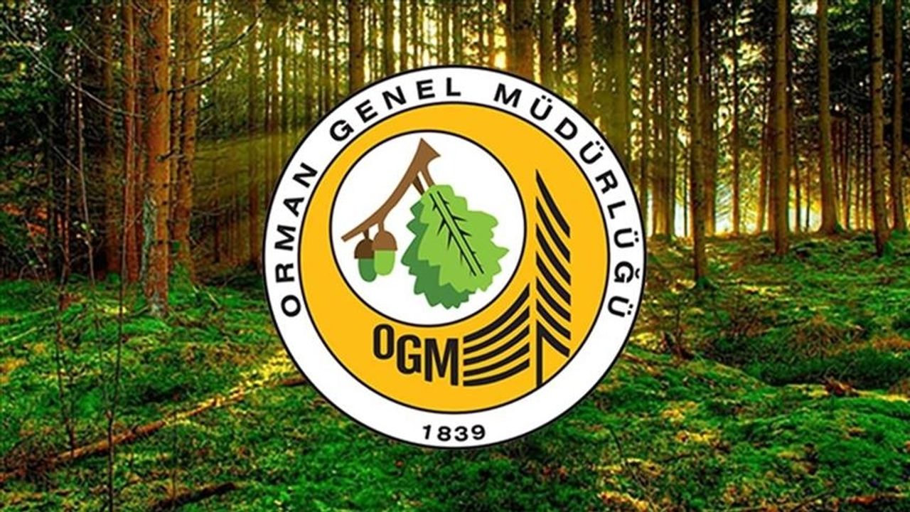 OGM’den 5 yıllık yol haritası