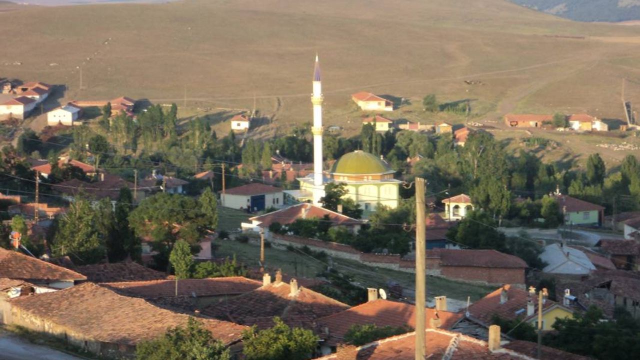 Çorum Merkez'de 2 milyona icradan satılık tarla
