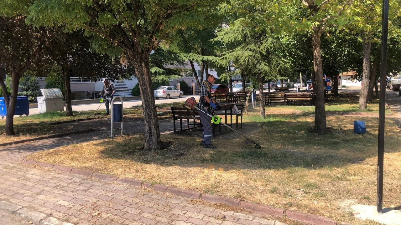 Osmancık’ta boş  arsalarda temizlik