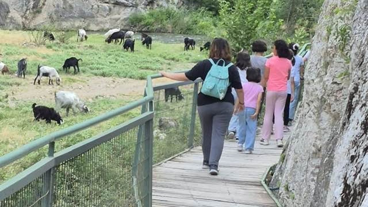 Çocuk Evleri sakini gençler İncesu Kanyonu’nu keşfetti