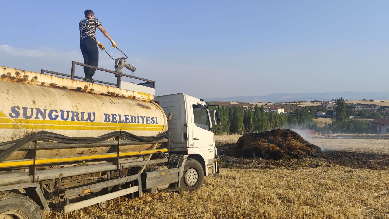 Tarlada çıkan yangında 300 adet balya kül oldu
