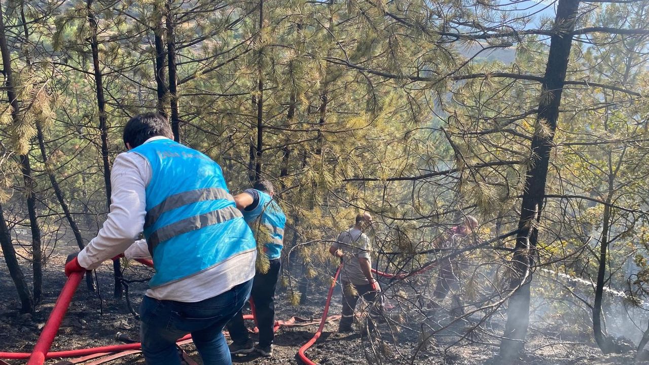 Ülkücü gençler “Yeşil Vatan” için görevde…