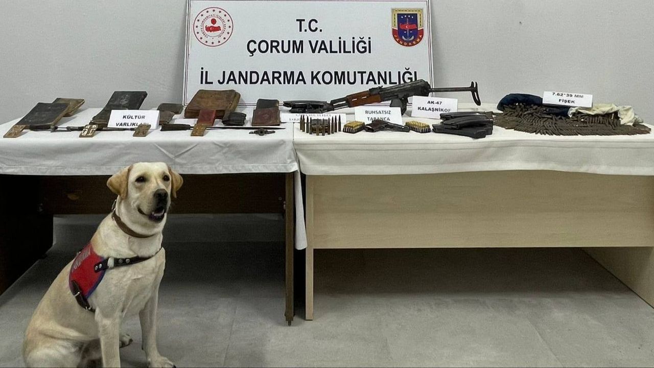 Çorum’da silah ve tarihi eser operasyonu: 2 şüpheli yakalandı