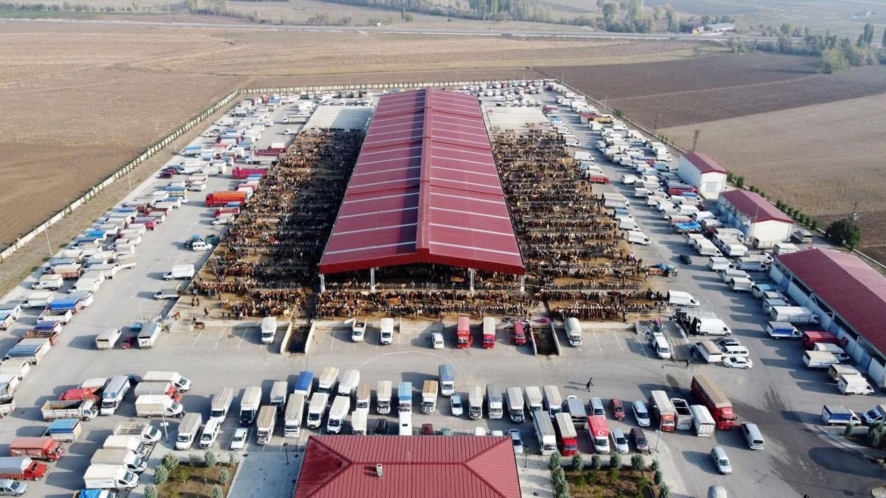 Hayvan Pazarı açılıyor