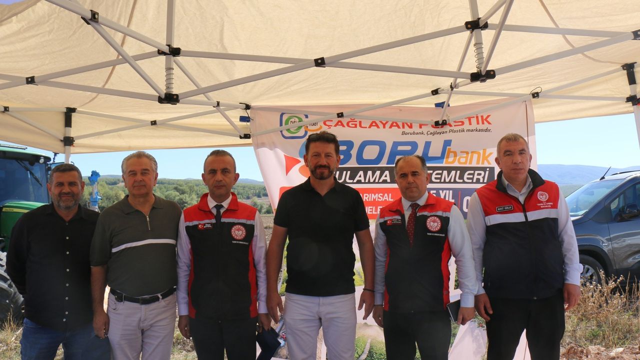Çorum’da ayçiçeği hasadı  tarla günü düzenlendi