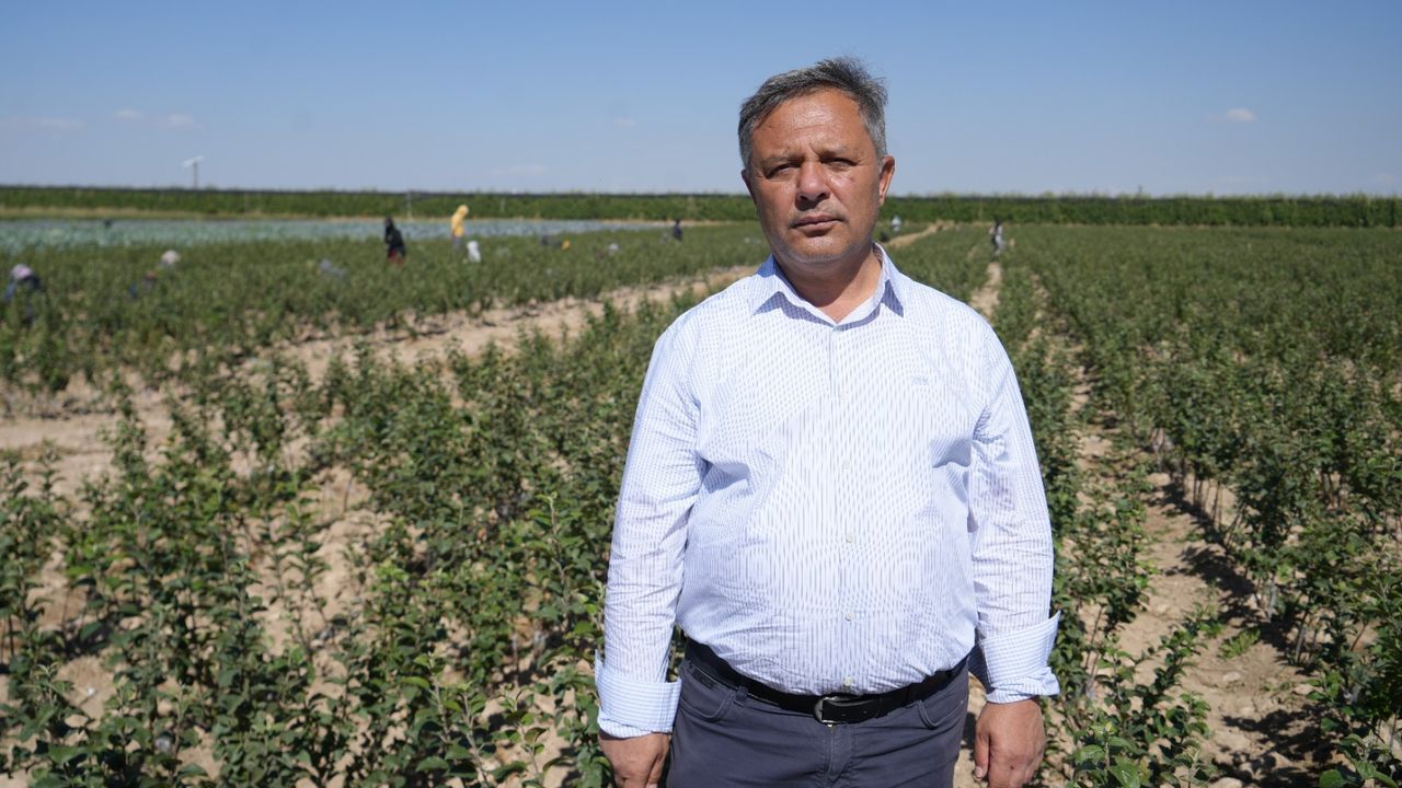 Don zararı elma rekoltesini  yüzde 95 oranında düşürdü