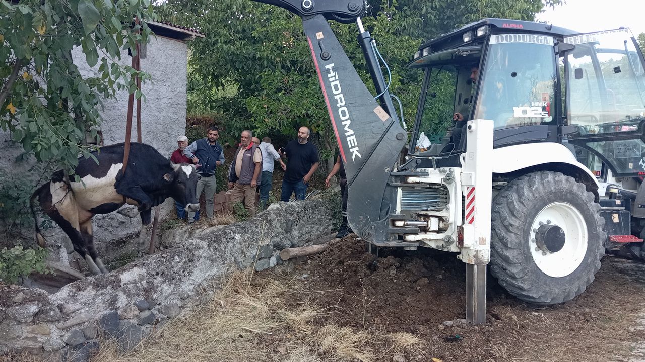 Çorum’da kuyuya düşen inek kurtarıldı
