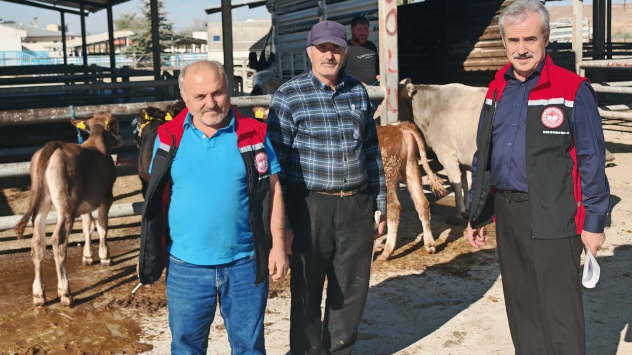 Sungurlu Hayvan Pazarı da hizmette
