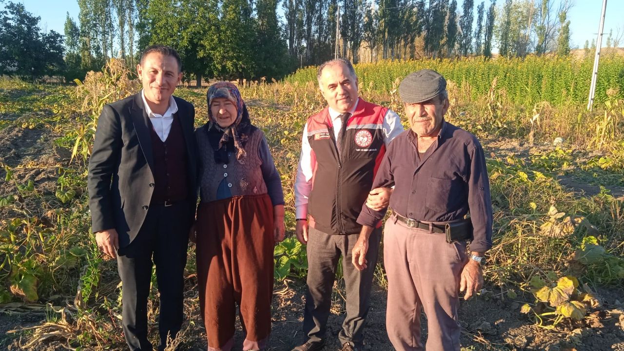 Çorum'un 4 ilçesinde hasat sevinci