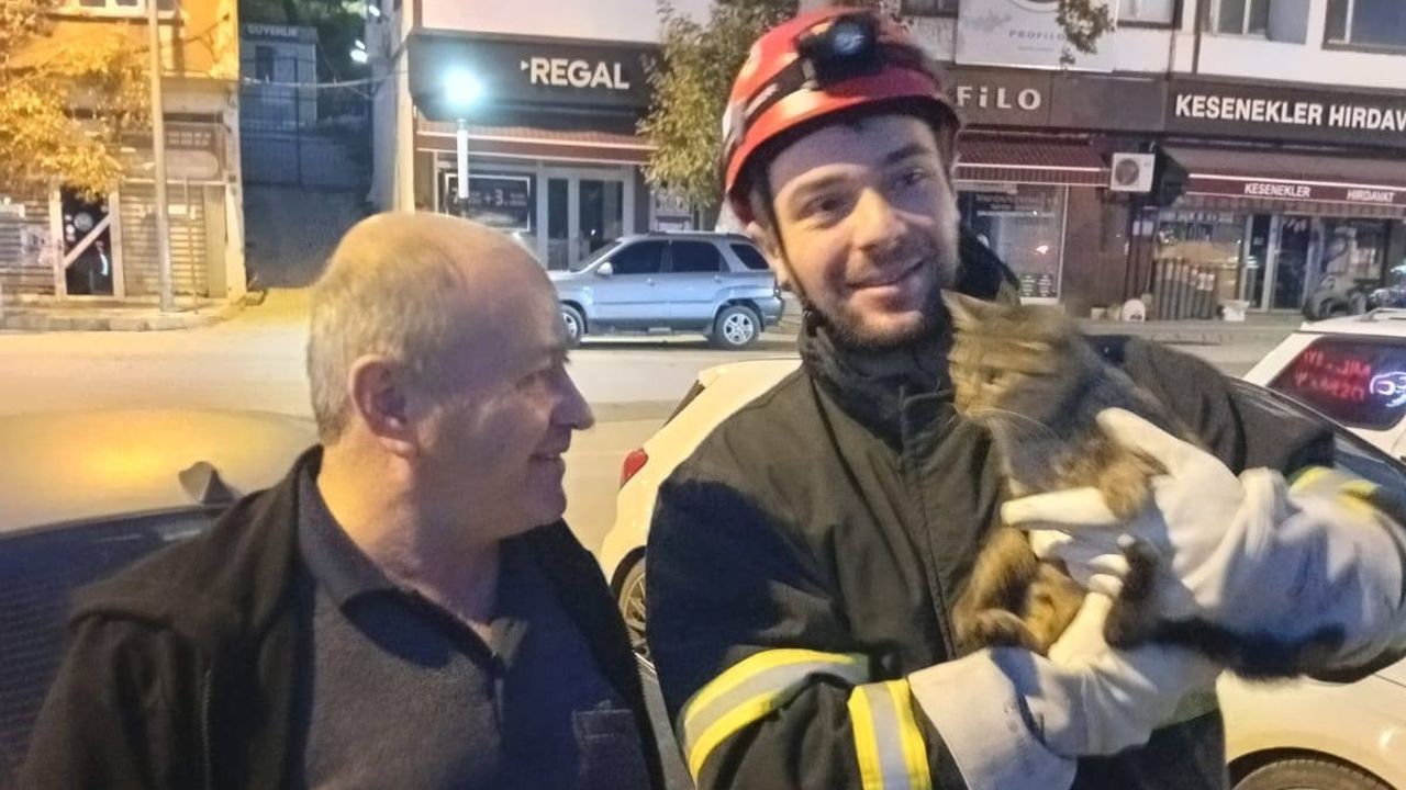 Kızılırmak’a düşen kedi kurtarıldı