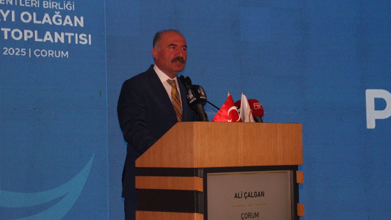 Çalgan: “Ülkeler, daha çevreci enerji  kaynaklarına erişmenin yollarını arıyor”