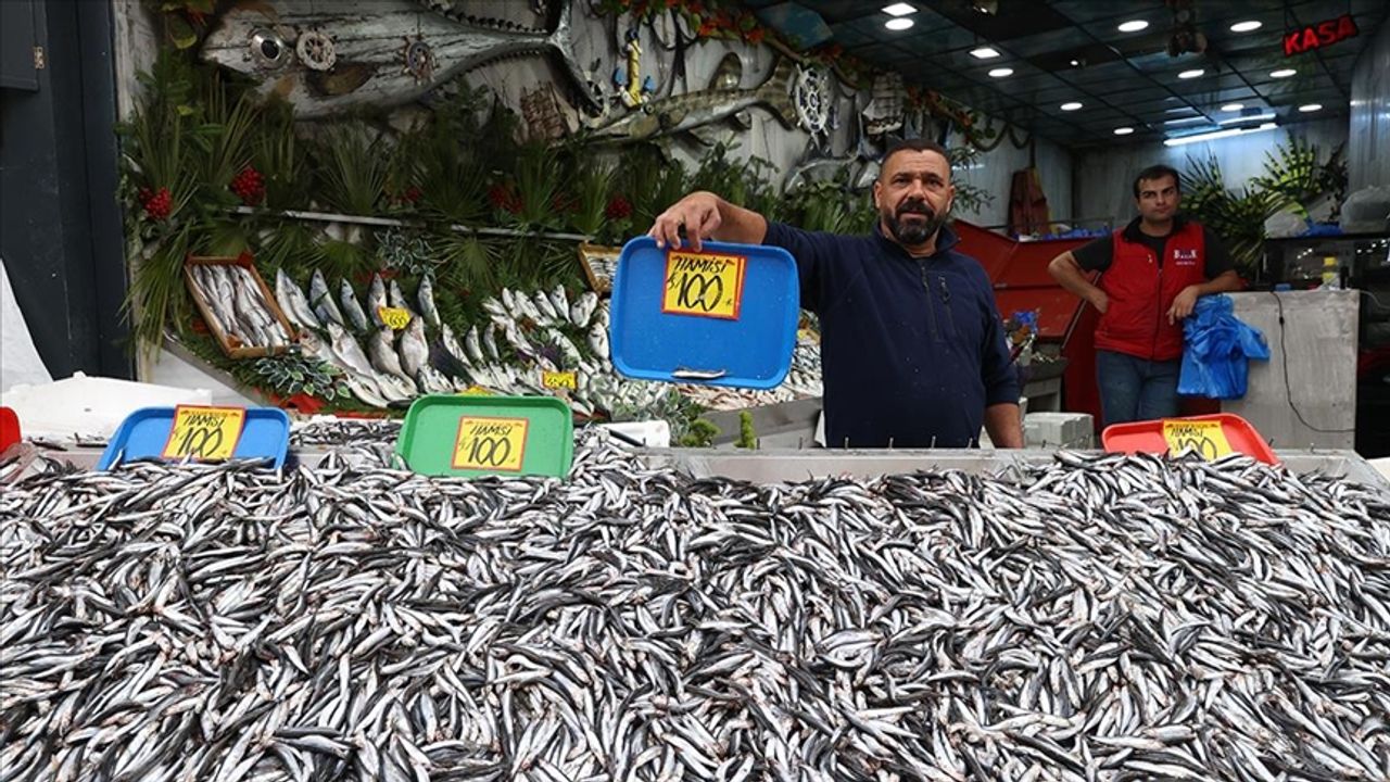Karadeniz'de hamsi bolluğu