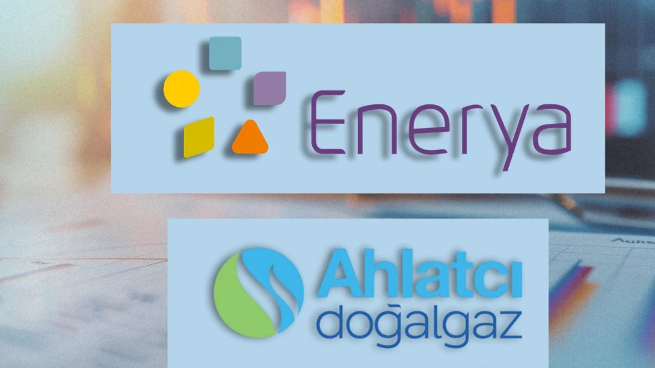 Ahlatcı Doğalgaz ve Enerya,  varlık büyümesinde en önde