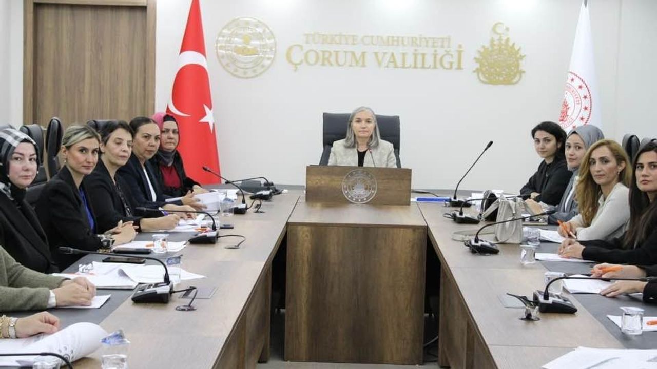 Kadının Güçlenmesi İl  Eylem Planı hazırlanıyor