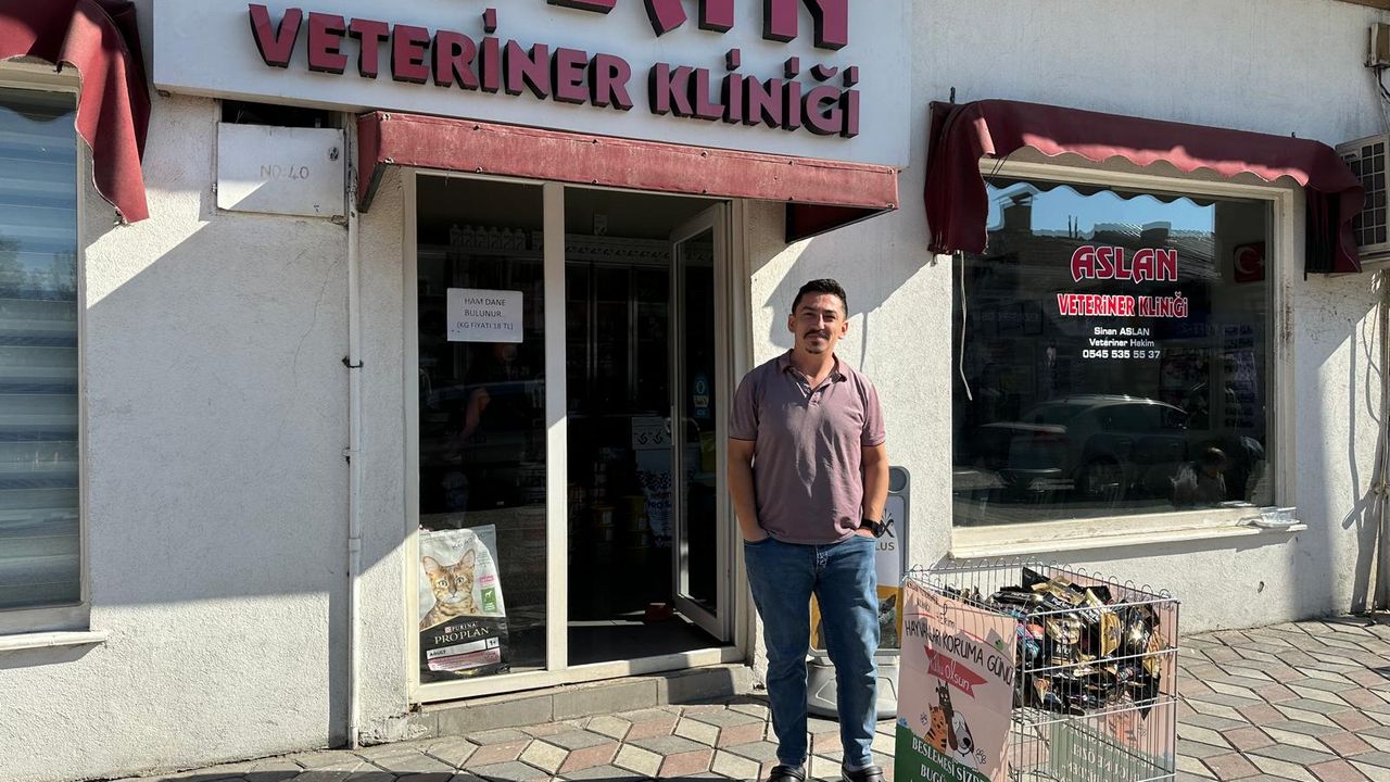 Kargı’da veteriner hekim  ücretsiz mama dağıttı