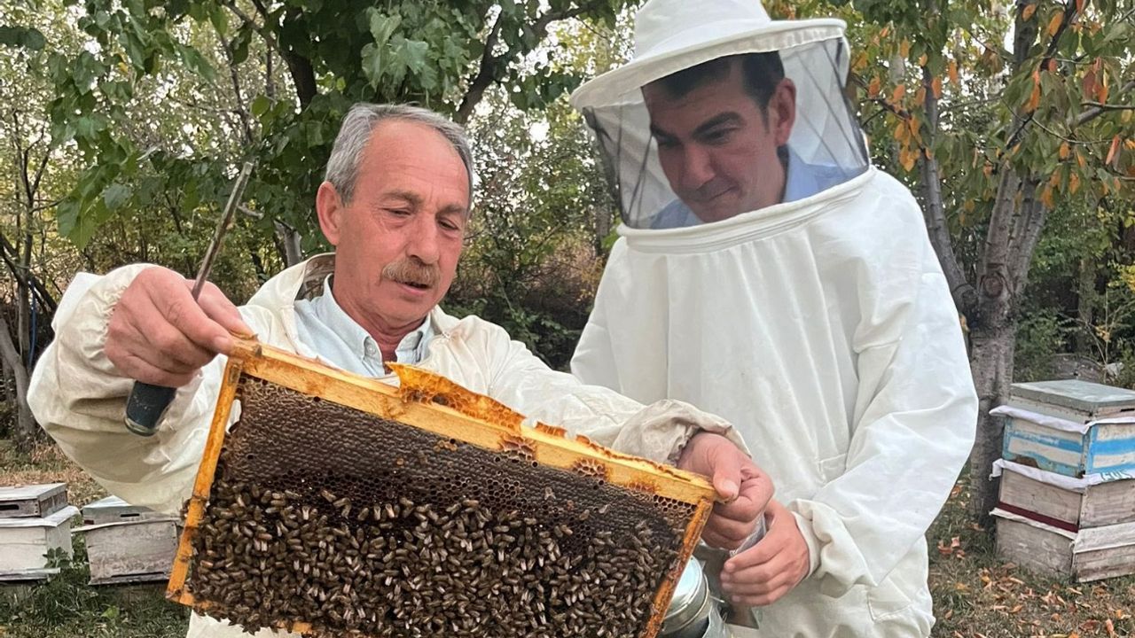 Kaymakam Köksal  bal hasadına katıldı