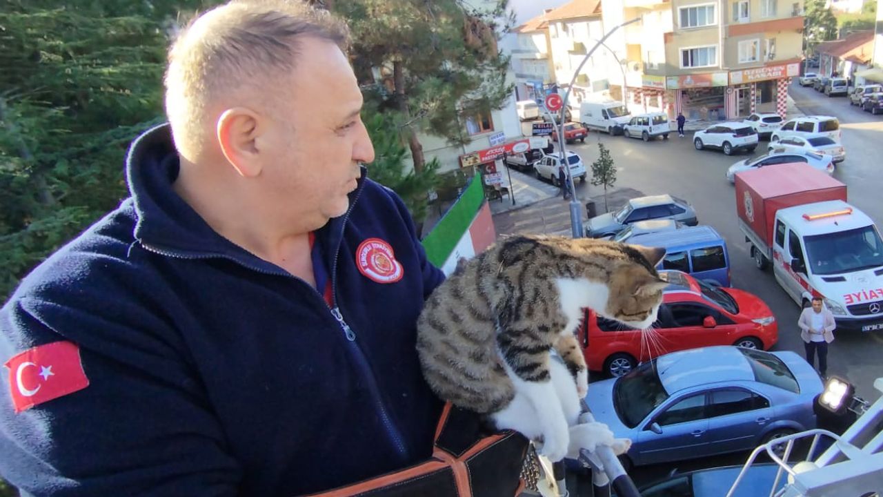 Çatıda mahsur kalan kedi  itfaiye ekiplerince kurtarıldı