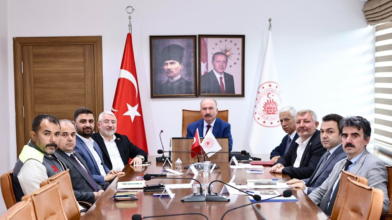 Sahipsiz hayvanlar için  yol haritası belirlendi