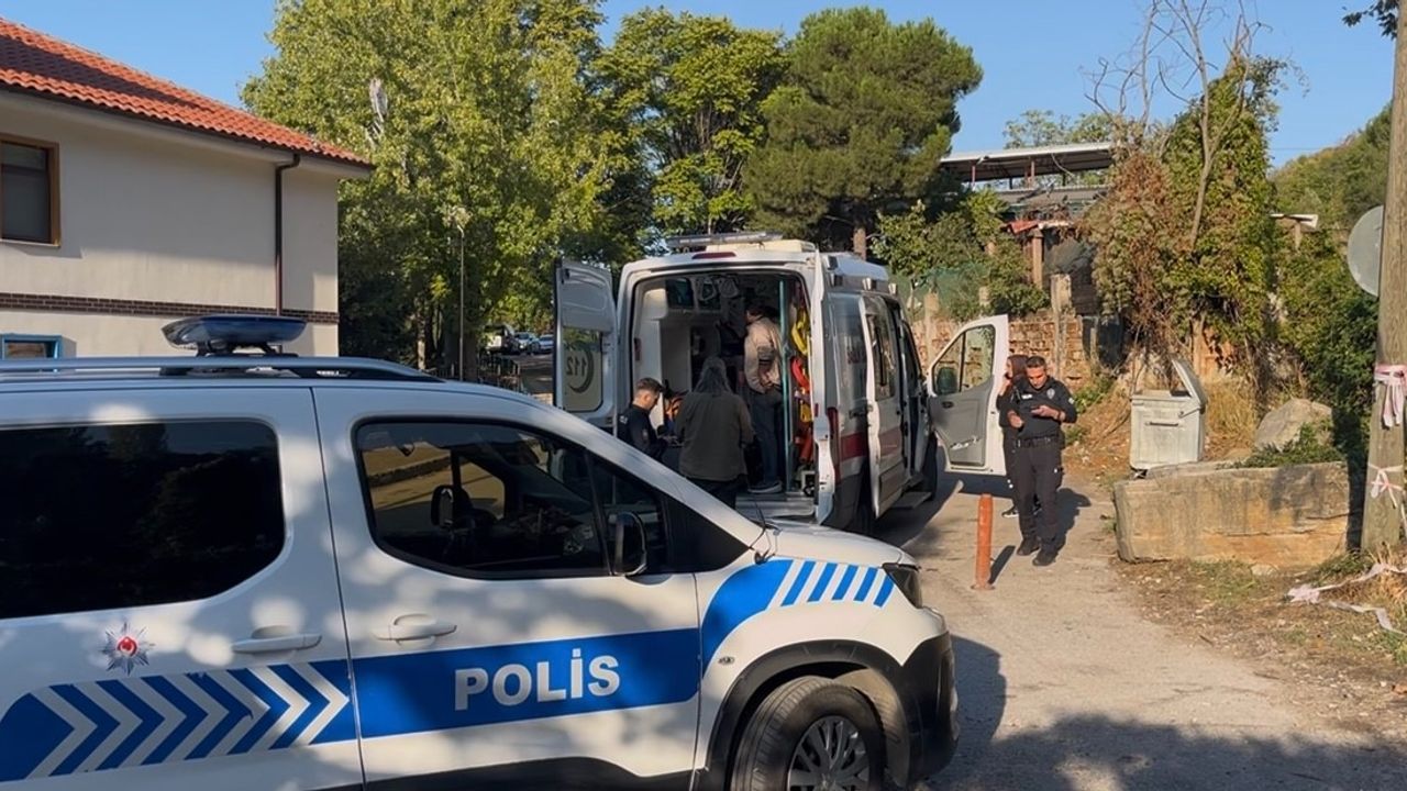 Kestane kavgası: 3 kişi vuruldu