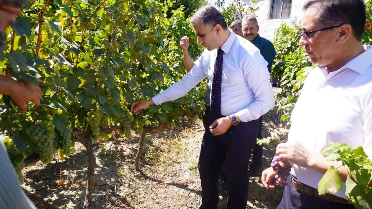 Evliya Çelebi'nin Seyahatnamesinde adı geçiyordu! Çorum'un bir ürünü daha tescillendi