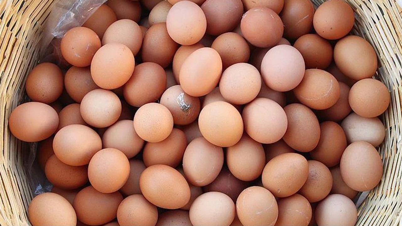 Yumurta fiyatı aldı başını gidiyor
