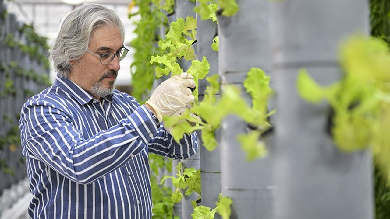 Topraksız dikey tarım uygulamaları enerjide tasarruf  ve yüksek verimlilikle geleceğe umut oluyor