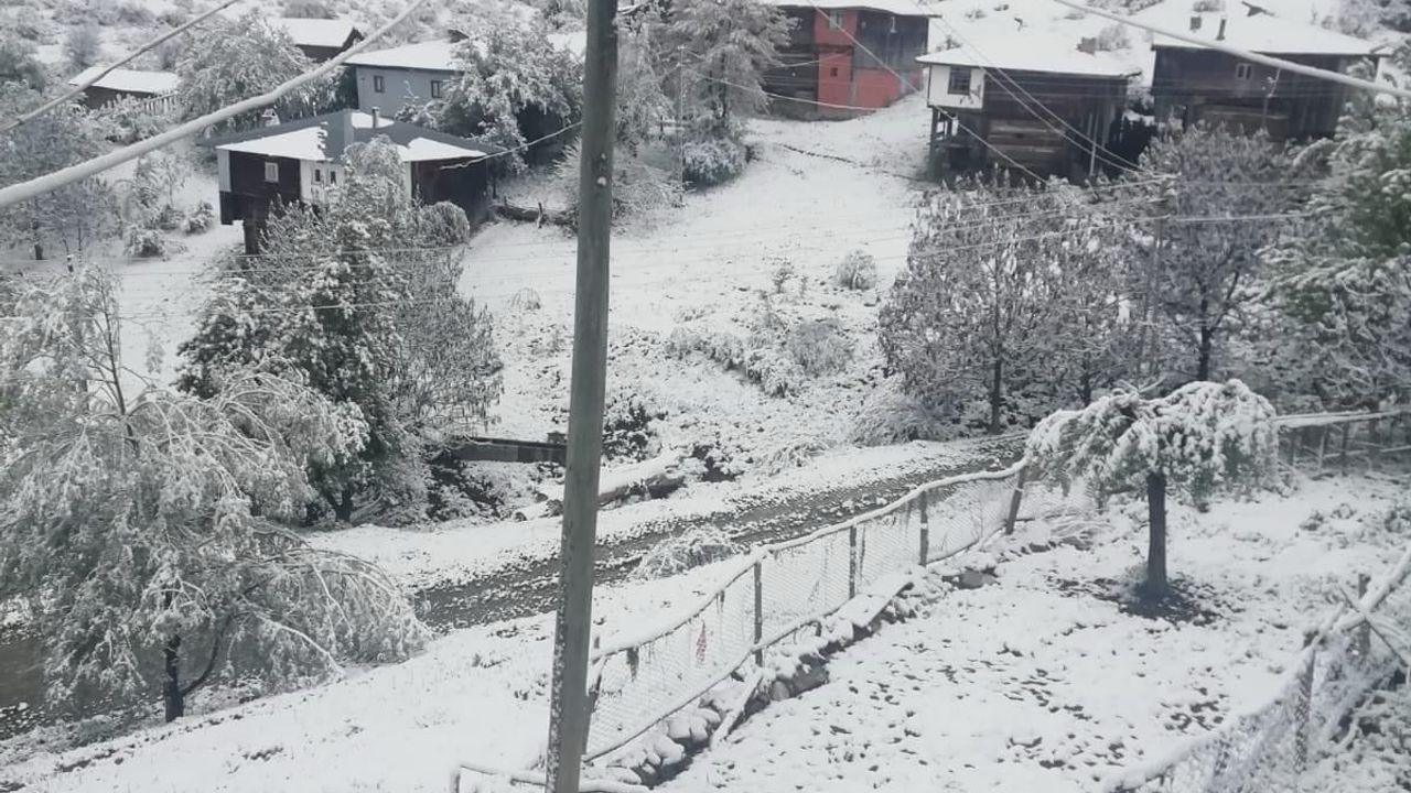 Tarımsal üretimde  gözler yağışlarda