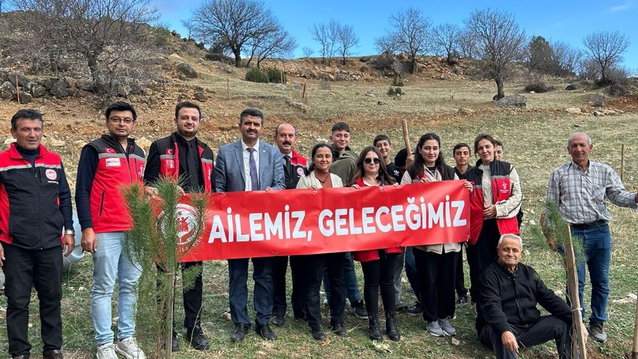 Yaşlılar fidan dikti,  gençler ise suladı