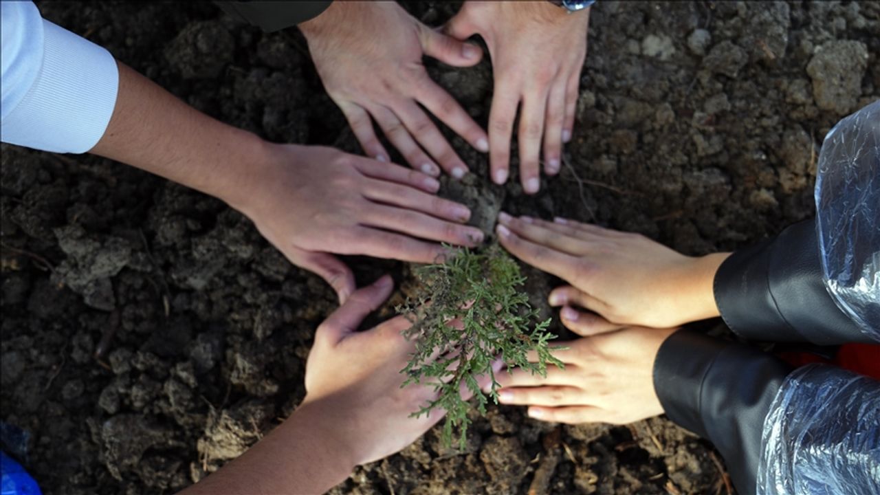 14.9 milyon fidan  toprakla buluştu