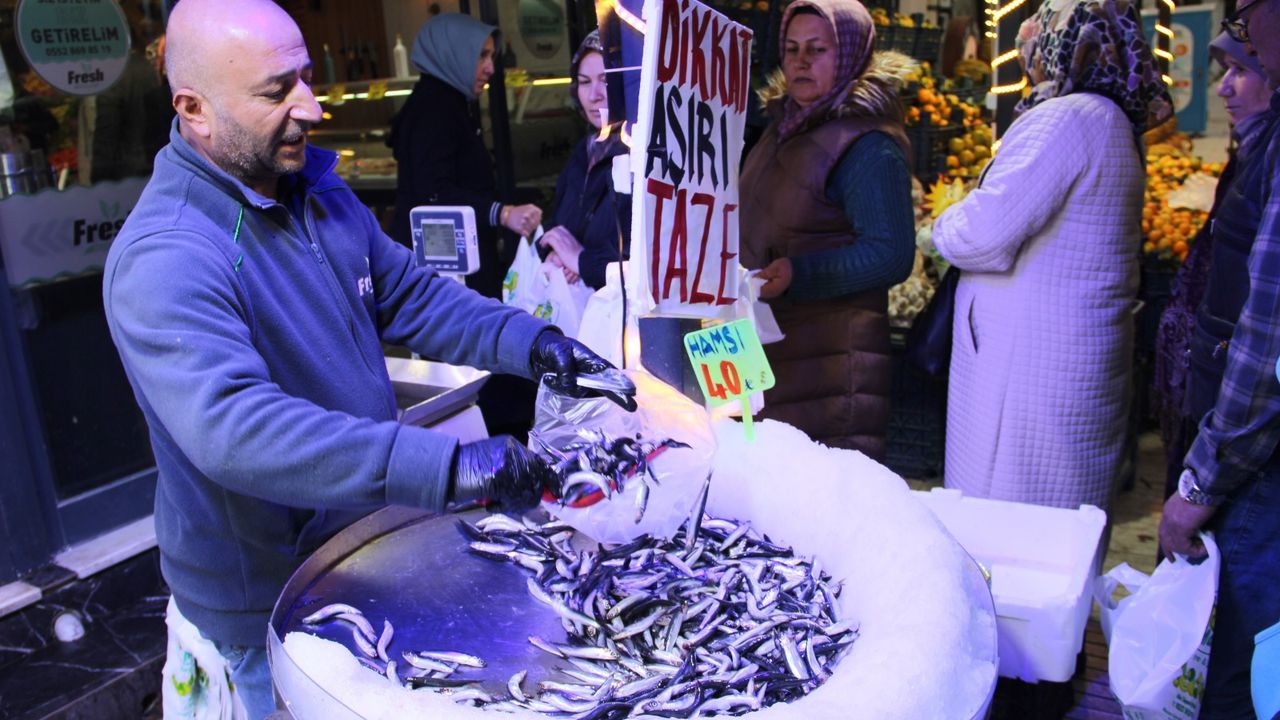 Çorum'da hamsinin kilosu 40 liraya düştü