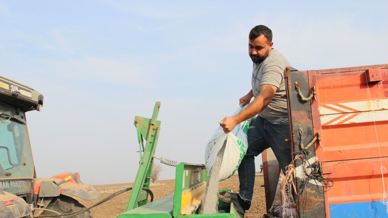 Umutlar 2026'ya kaldı! Çorum'da çiftçilerin 'güz ekimi' başladı