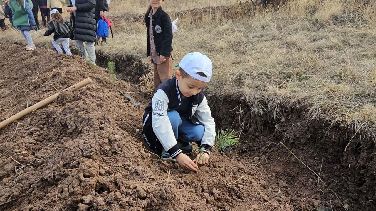 8 bin fidan toprakla buluştu! Vali Çalgan: “Çorum’un %38’i orman”
