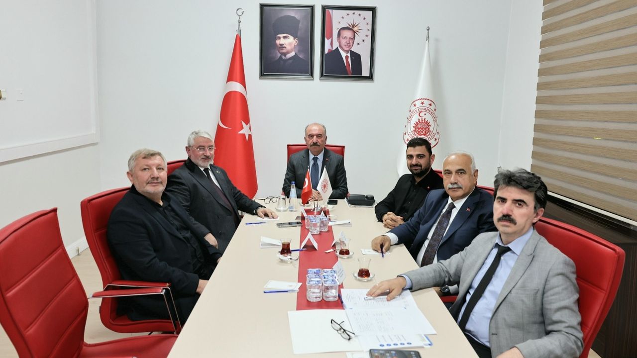 Sahipsiz hayvanların yaşam  koşulları değerlendirildi