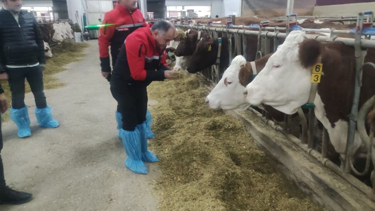 Kırsal kalkınma yatırımları  yerinde incelendi