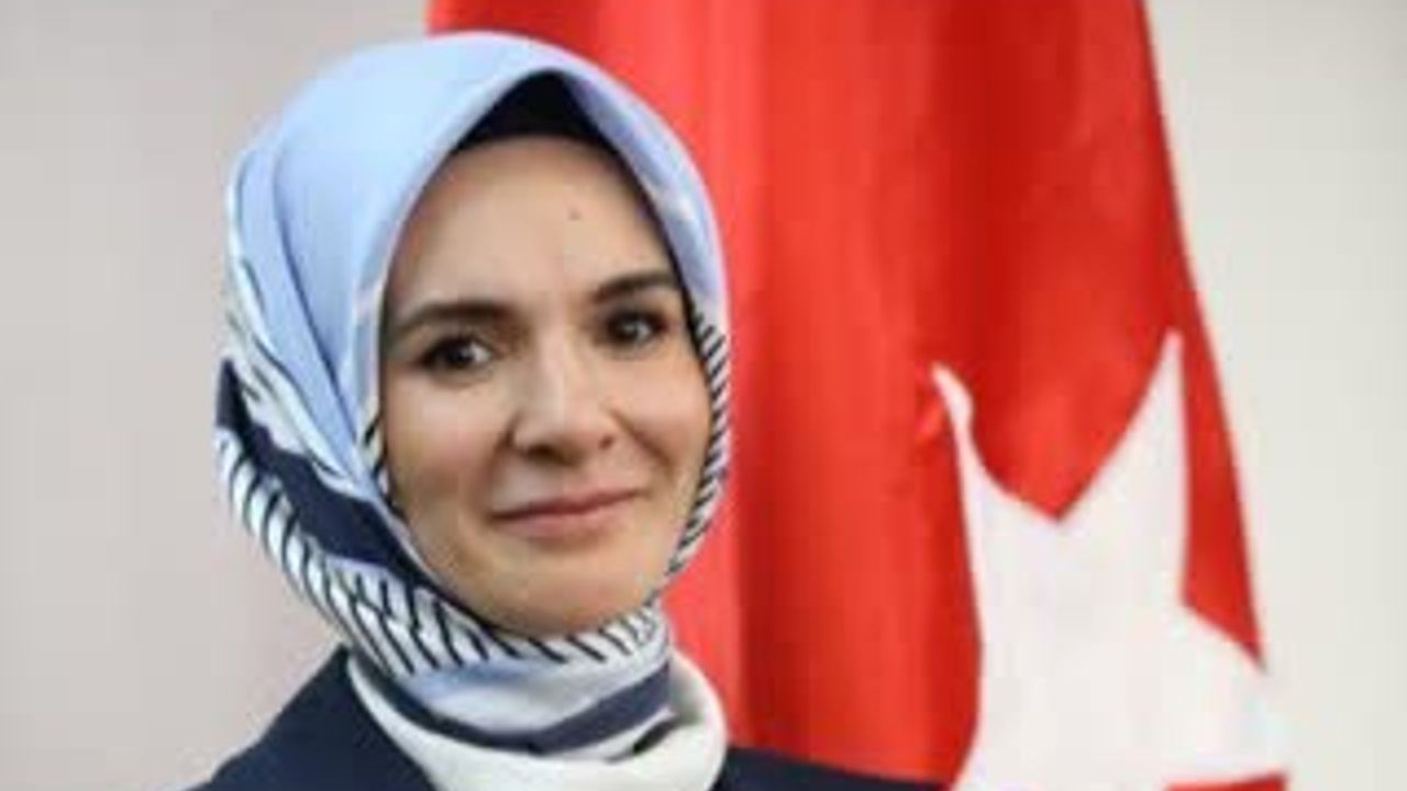 Doğum yardımı ödemesi  annelerin hesaplarında…