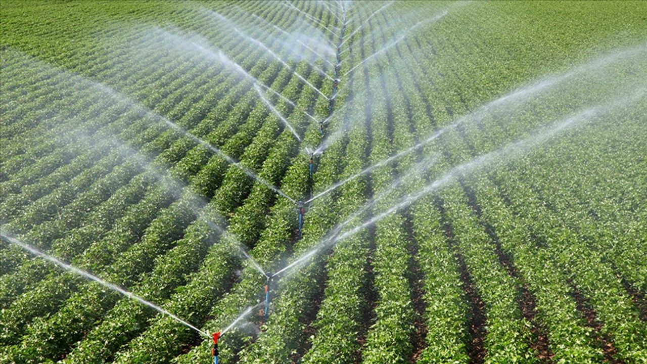 Çiftçiye 306 milyonluk  tarımsal destek ödemesi