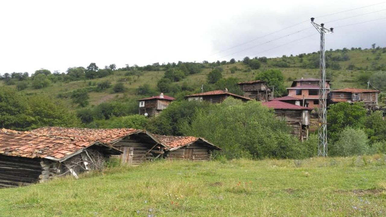 Çorum'da 8 köyde hazine arazileri satışa çıktı! İşte o köyler ve ihale tarihi