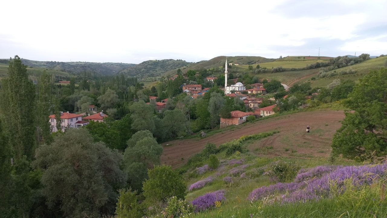 Çorum'da 67 hazine arazisi satışa çıktı! İşte ihale tarihi
