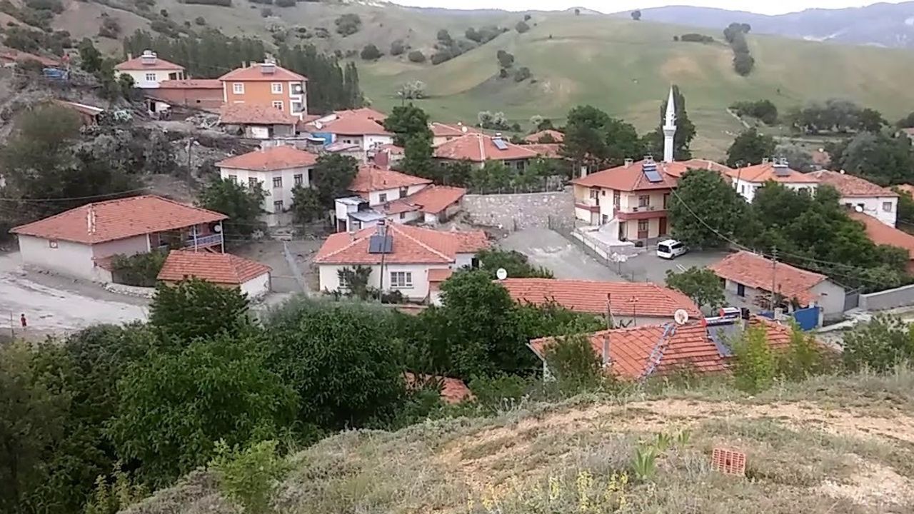 Çorum'un 29 köyünde 314 hazine arazisi satışa çıkarıldı! İşte o köyler