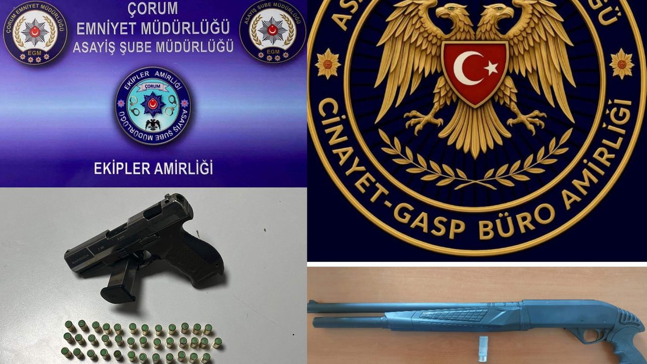 Asayiş operasyonlarında  çok sayıda silah ele geçirildi