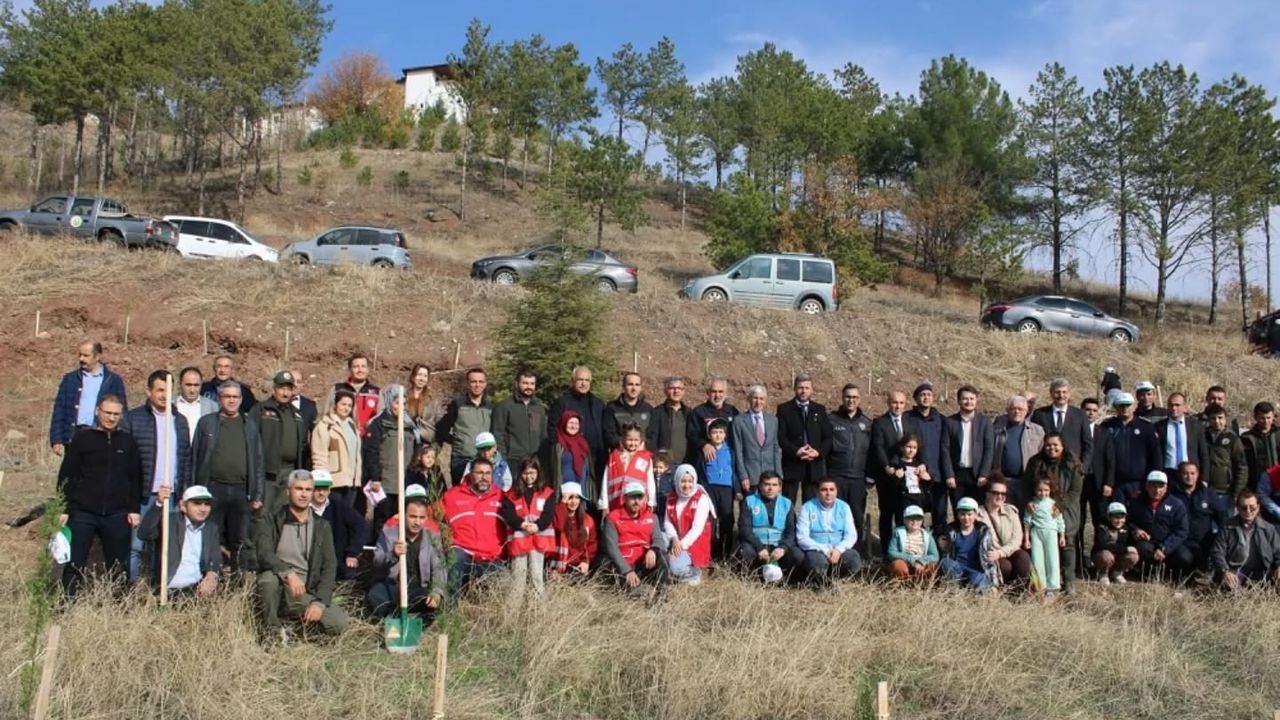 İskilip'te 200 meyve fidanı toprakla buluştu