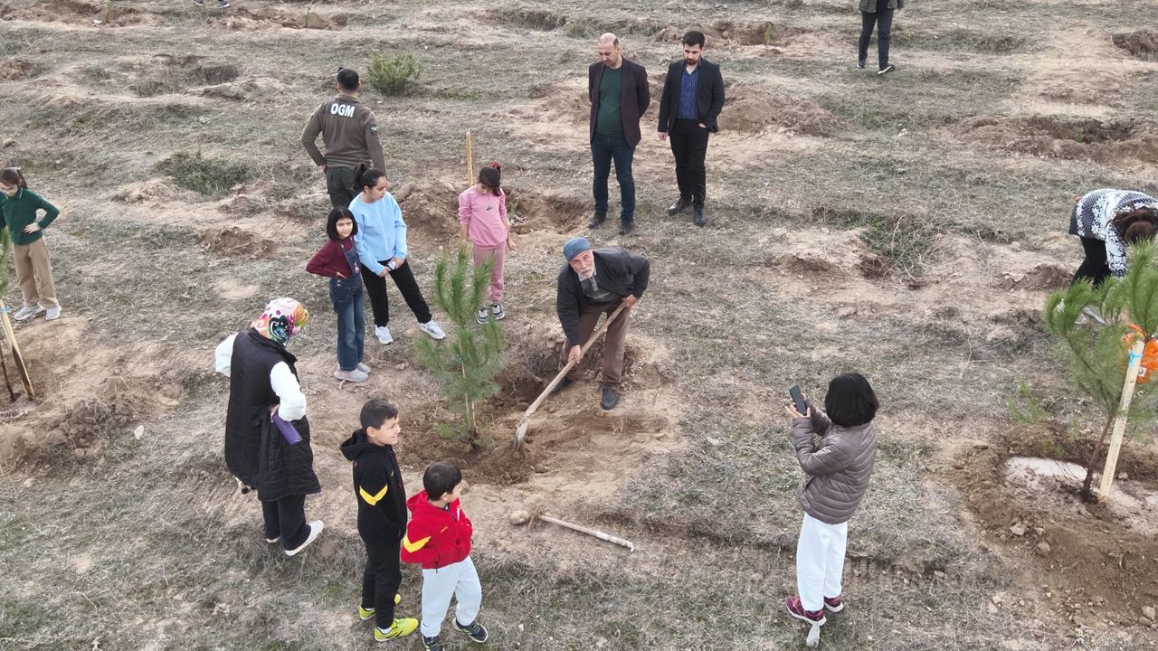 Kargı'da Milli Ağaçlandırma Günü'nde fidanlar toprakla buluşturuldu