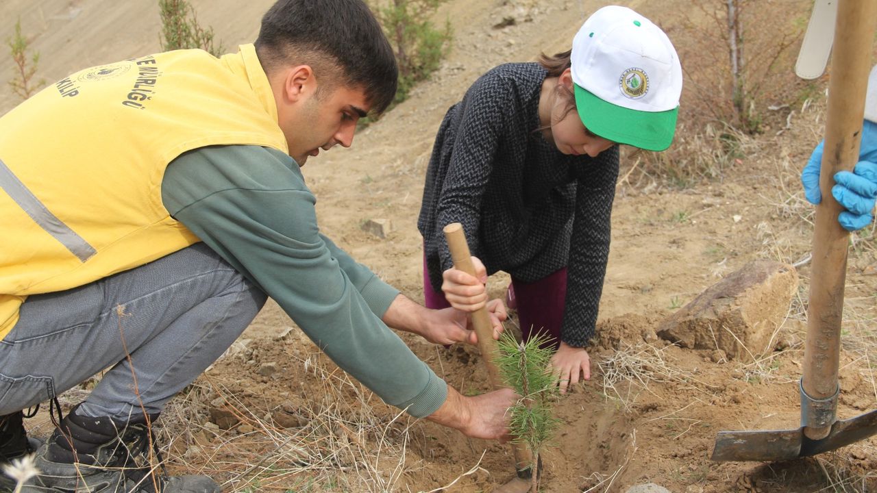 Oğuzlar'da fidan dikim etkinliği düzenlendi