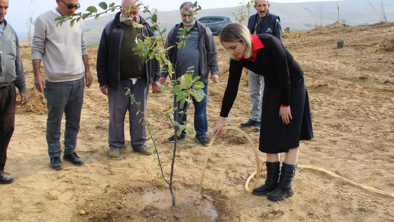 Mecitözü'nde "Milli Ağaçlandırma Günü" kapsamında fidan dikimi yapıldı