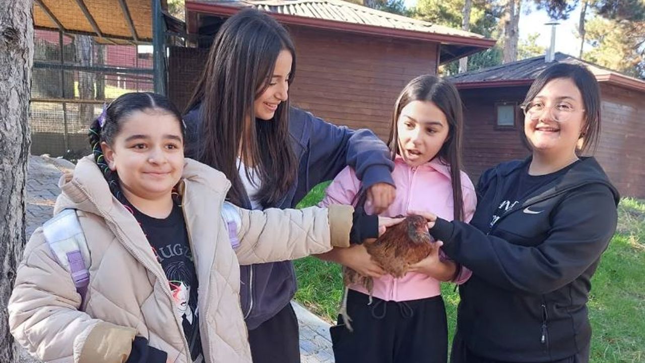 Minikler barınakta hayvanlarla buluştu