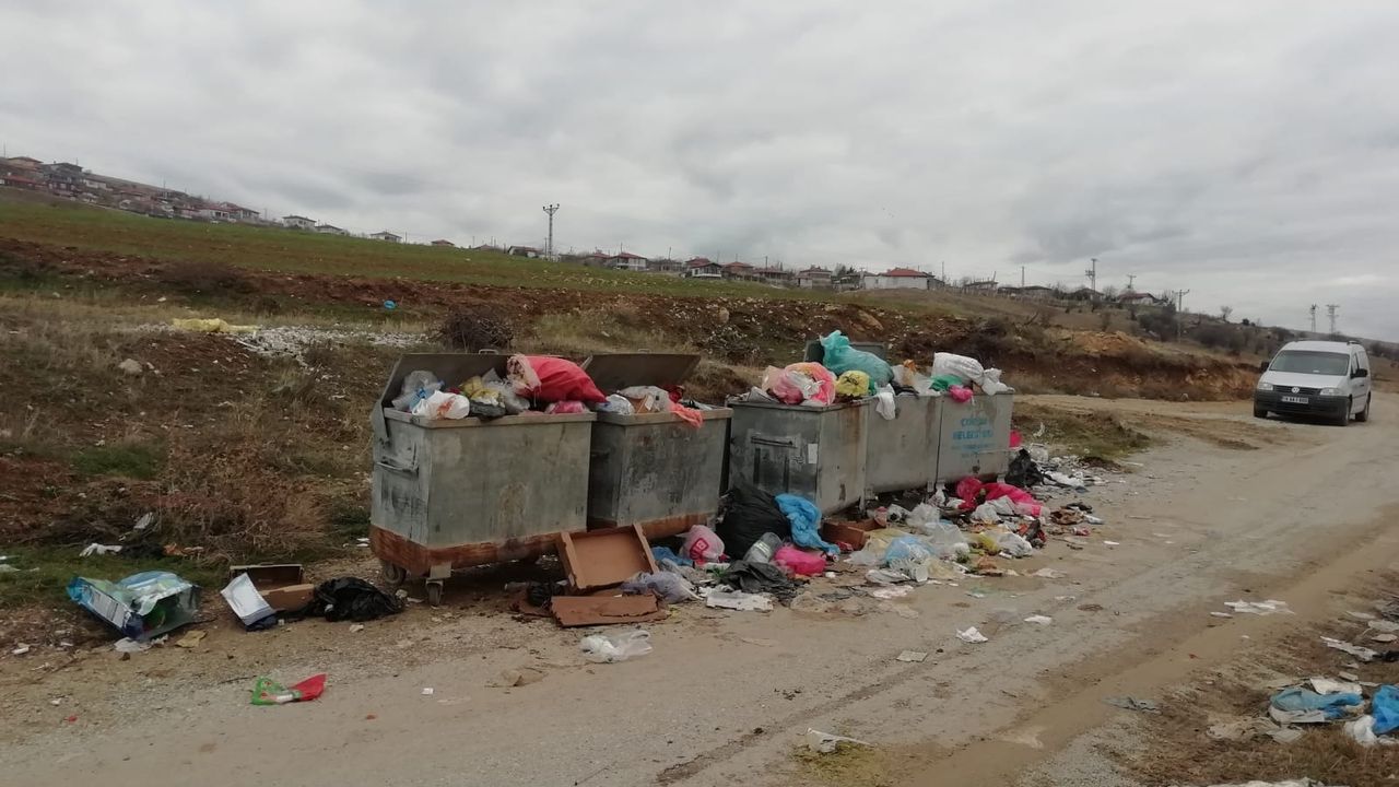 Uzun süre alınmayan  çöpler sorun yaratıyor