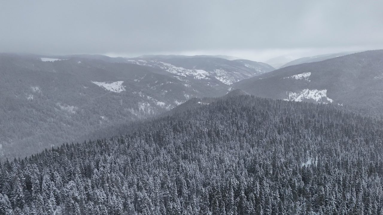 Beyaza bürünen Ilgaz Dağı havadan görüntülendi
